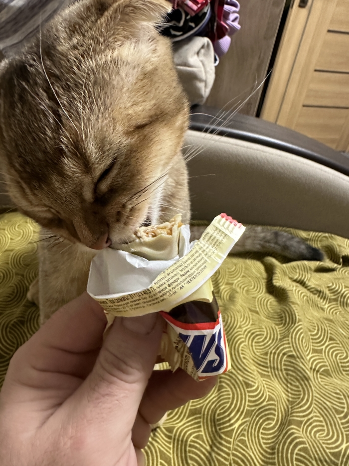    ,   ,  , ,  ,  