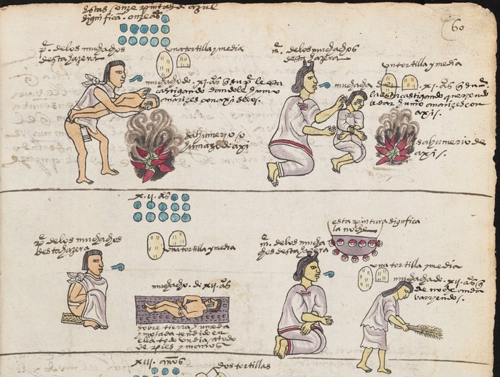 Внизу справа в виде серой люстры с красными покеболами изображено ночное небо, полное звёзд / © Bodleian Libraries, University of Oxford, CC-BY-NC 4.0