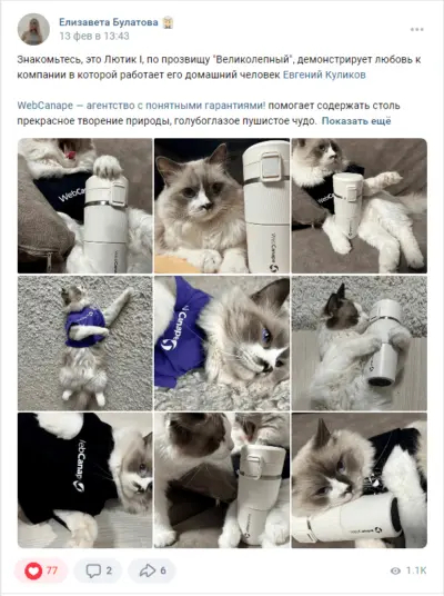 ���������������� ���������� ��� ����