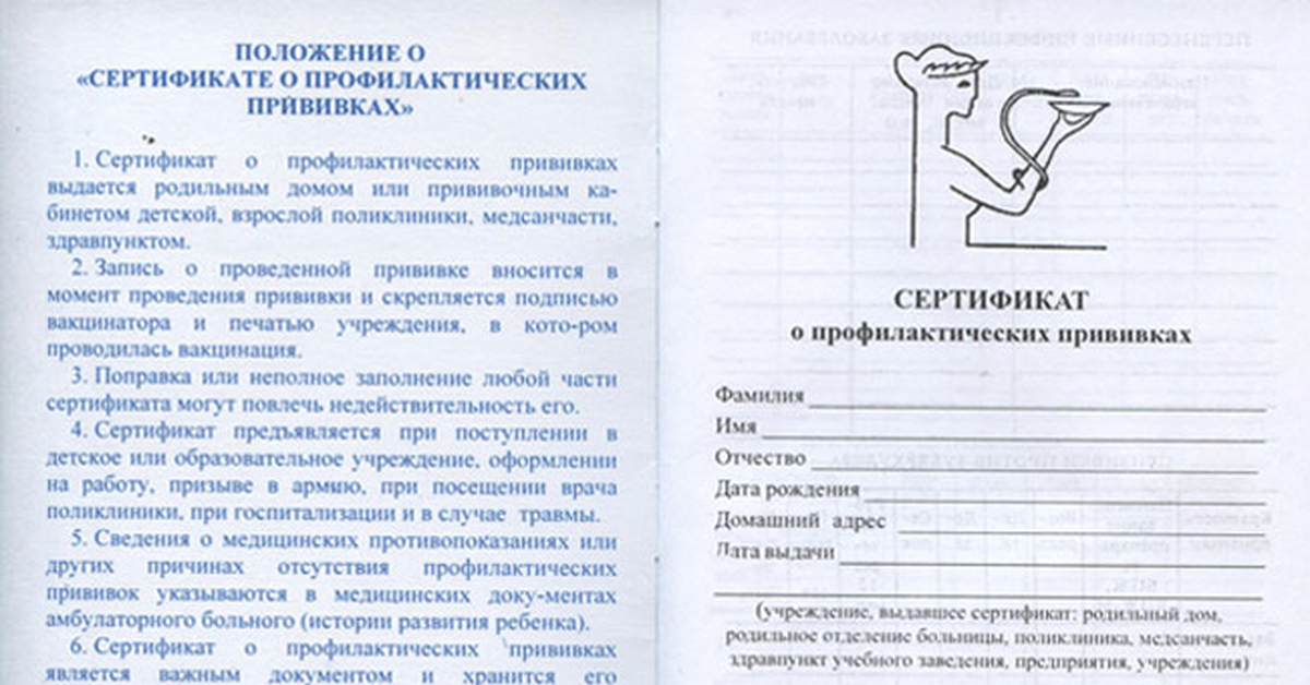 Как восстановить прививочный сертификат взрослому. Ф 156/У-93 сертификат о профилактических прививках. Прививочный сертификат 156/у-93. Сертификат профилактических прививок 156у-93. Сертификат о профилактических прививках форма 156/у.