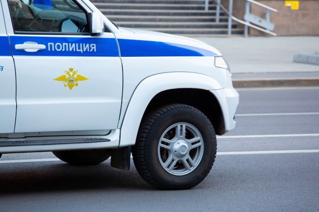 Координатора штаба Надеждина и еще несколько человек задержали под Воронежем