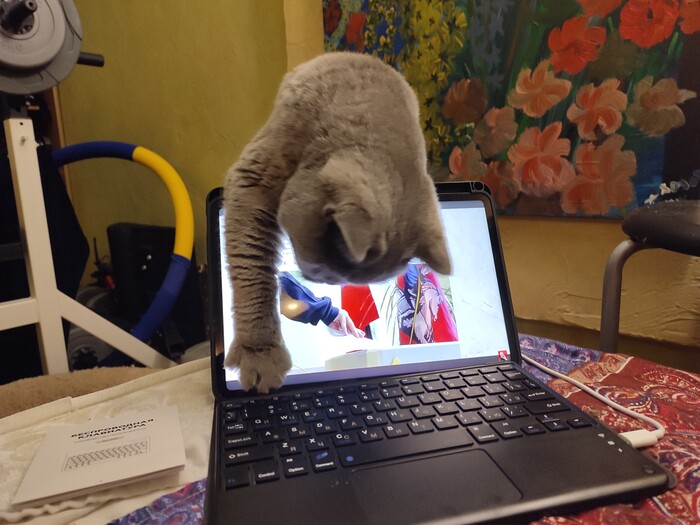 А ты сохранился перед выходными?