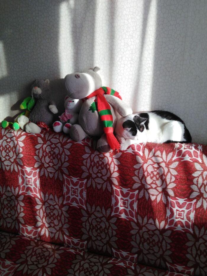 Спят усталые игрушки