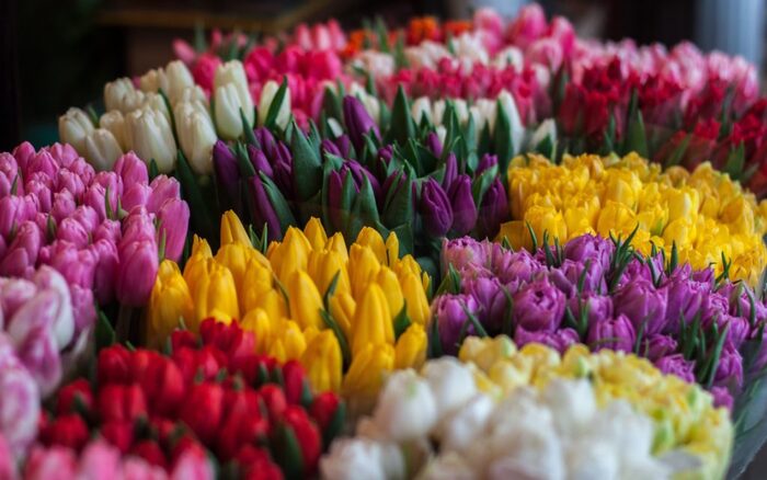 Похоронный МУП Брянска организует ярмарки цветов к 8 Марта 8 марта - Международный женский день, Цветы, Ярмарка, Похороны, Брянск, Мэрия, Бизнес, Малый бизнес, Документы, Длиннопост, Текст, Негатив