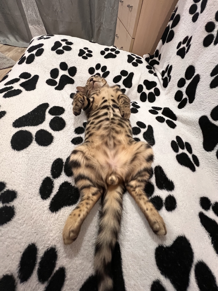  18+ ,  ,  