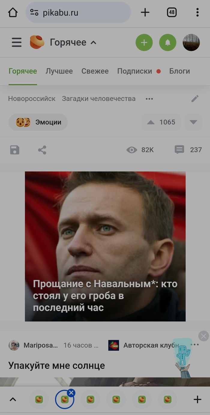 Реклама на Пикабу Наблюдение, Реклама, Алексей Навальный, Реклама на Пикабу, Скриншот