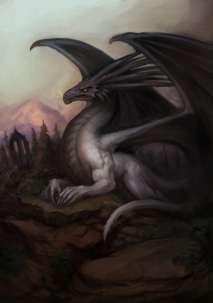 Белый дракон