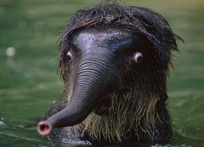 Когда пришёл на восковую депиляцию до того, как узнал, насколько это больно.