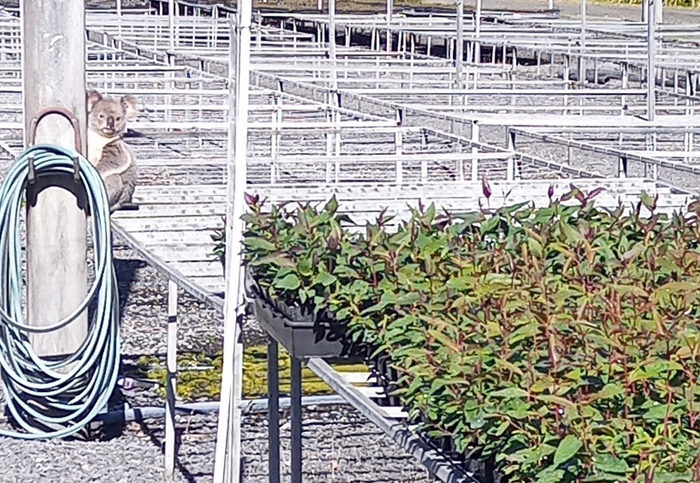 Когда понимаешь, что попал.