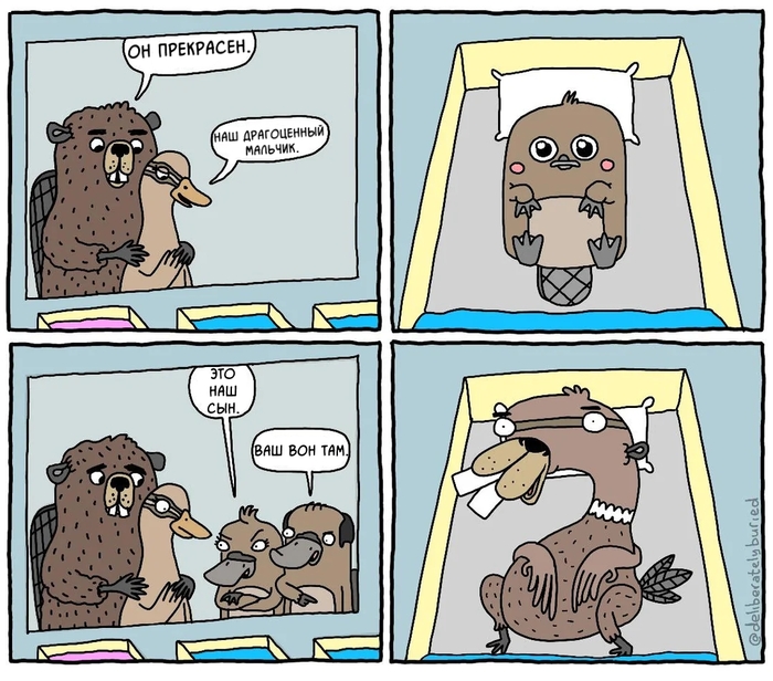 Гордые родители