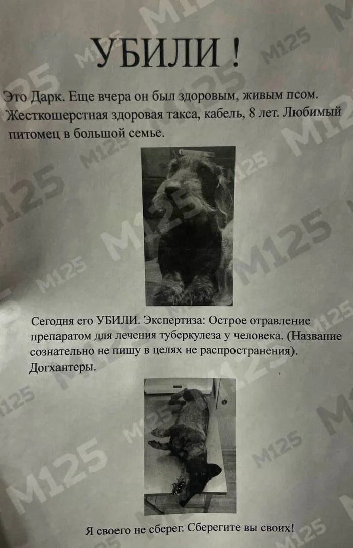 Зато снег будет белым, да? Собачники, Догхантеры, Отрава, Собака, Негатив
