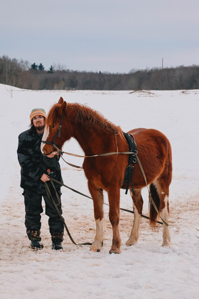 Тренируемся на вожжах