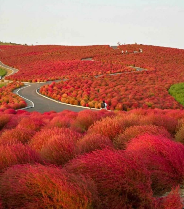 ������� ��������-����