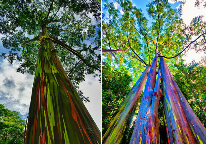 �������� �������