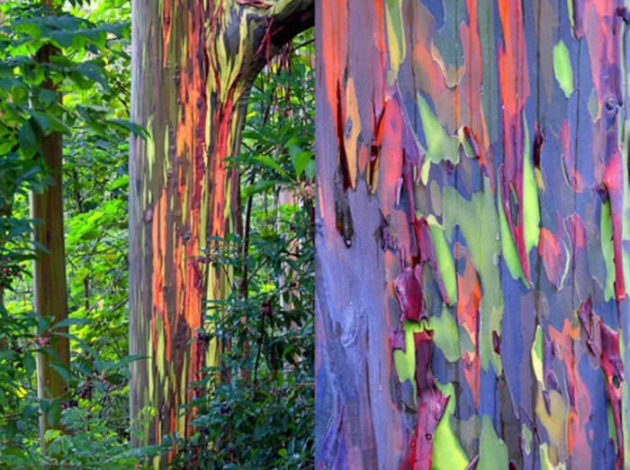 �������� �������