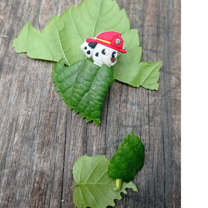 Видите фото? Дочка укрыла листиком собачку.а это одеяло,а вовсе не листик и лежит она на матрасе)а рядом гусеница, она конечно мертва, но доча думает,что заболела) Она лежит в кроватке в больничке и лечится,она тоже заботливо укрыта.