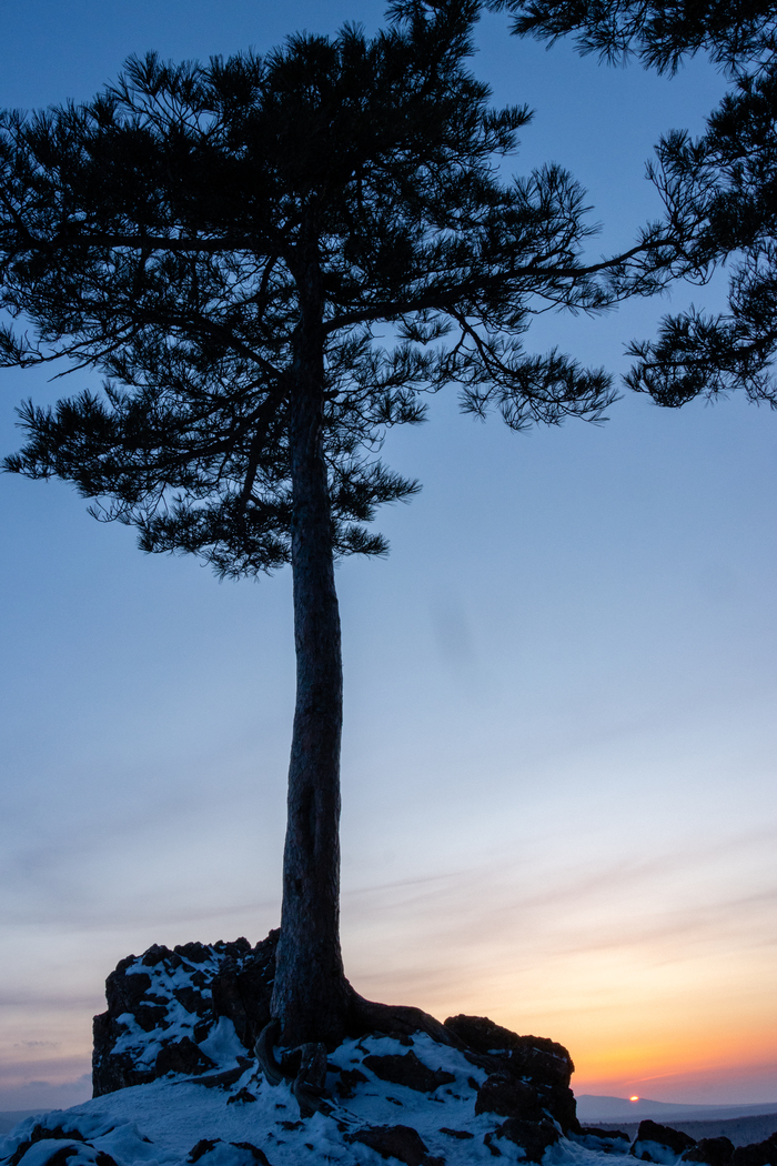 Сопка Змеинка, Хабаровск