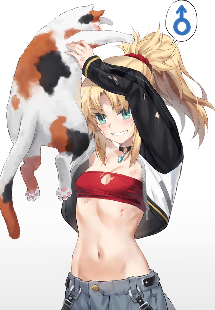 ,   ! Tonee, , , Anime Art, Fate, Fate Apocrypha, Mordred, , Twitter ()
