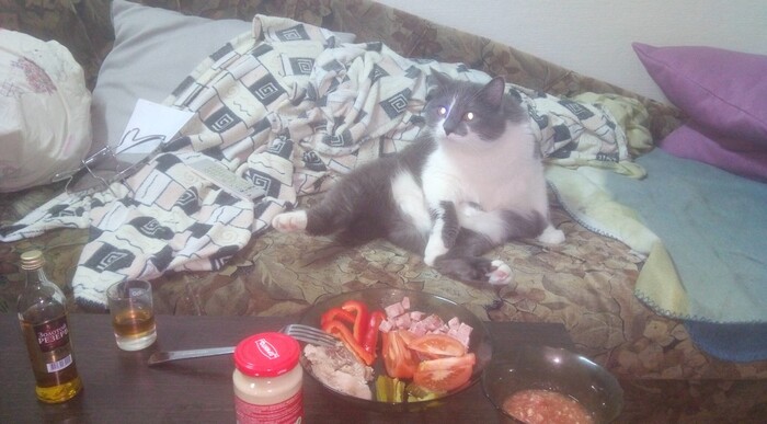 алкоголь осуждаю, но не сильно)) хренодер не осуждаю ни разу)