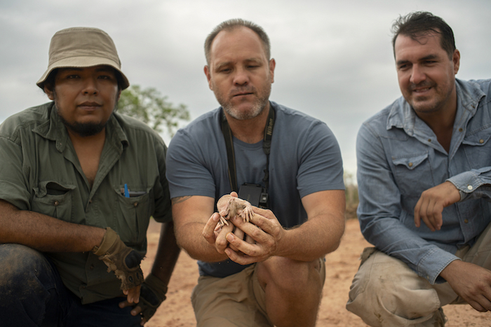 Доктор, это вам. Мы не знаем, что с ним делать, но на всякий случай забрали и увезли на 10 километров от места находки.