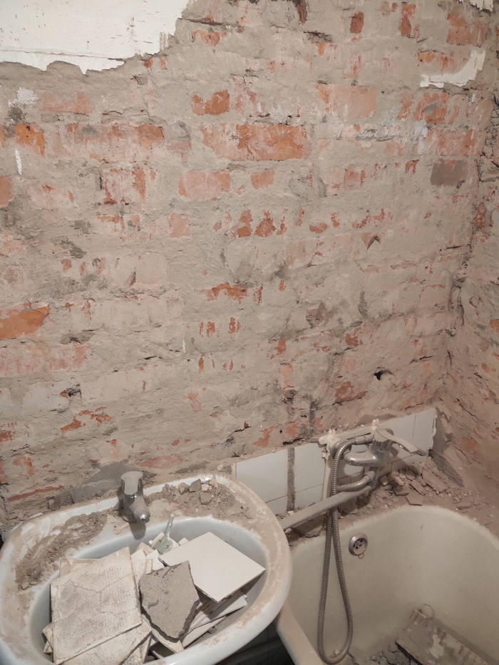 Пылища,грязища и другие неприятные моменты.