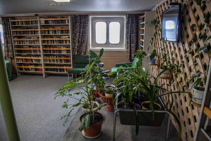 Библиотека