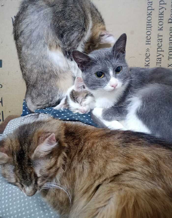       ,   8 ! , ,  , ,  
