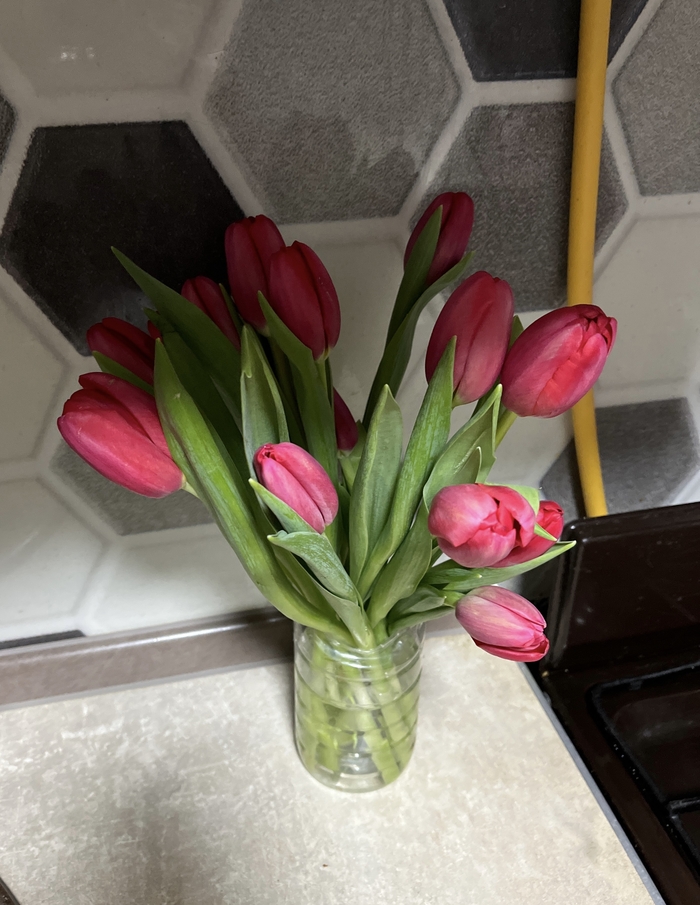 Мысли про цветы