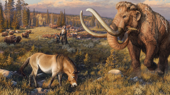 Тундра, которую мы потеряли.