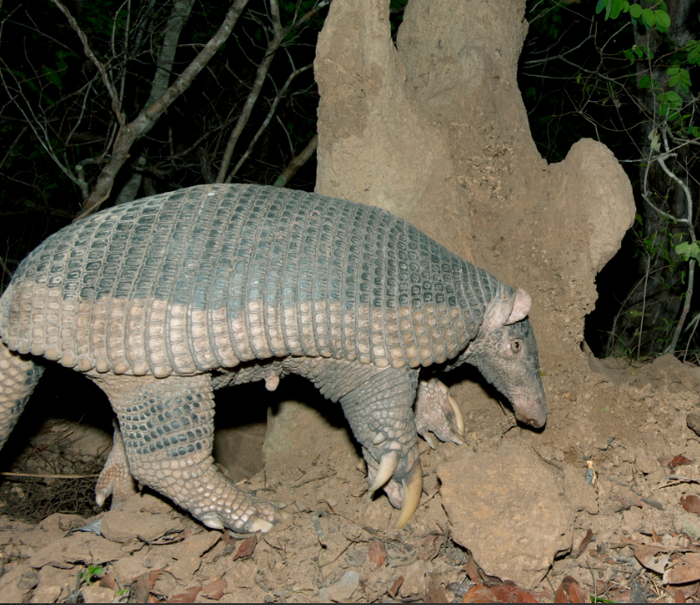 Ну всё, холодильник пустой, пора спать.