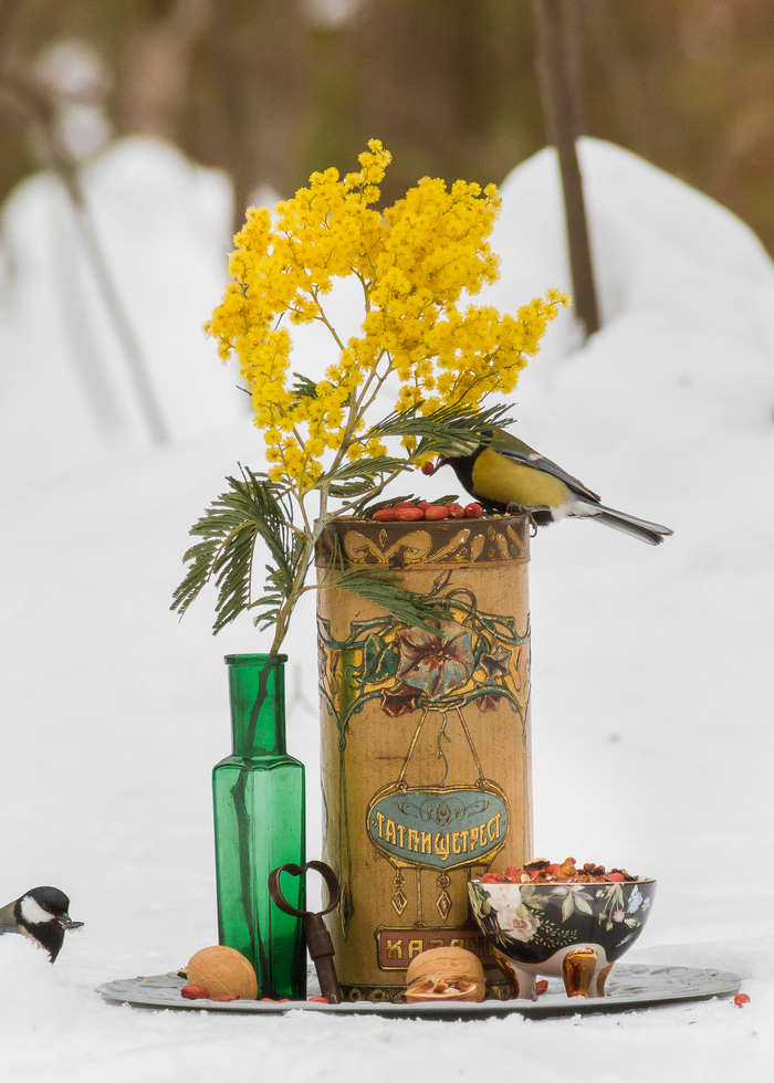 ����������)