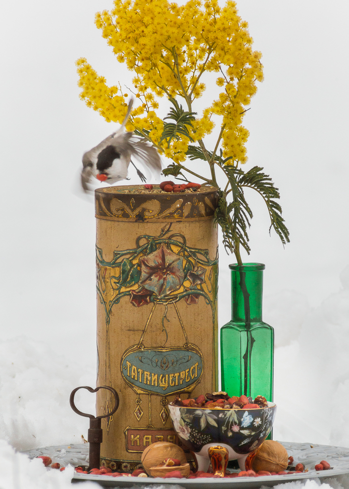 ������ ��������