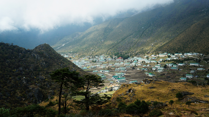 ������� ��������