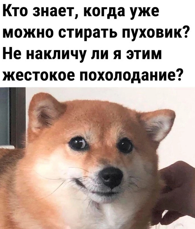 Непристойные стишки