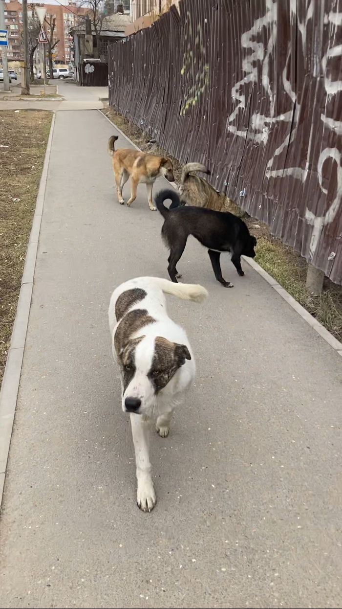 �� ��������� ����� �� ���� 