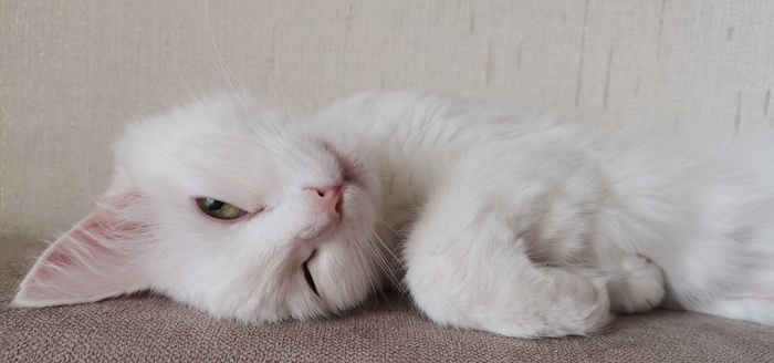 Доброго воскресного утра!