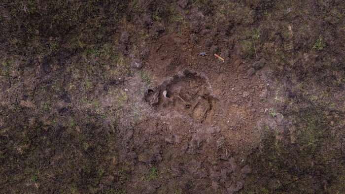 � ��������� ���������� �������� ����� ������� �� �������...