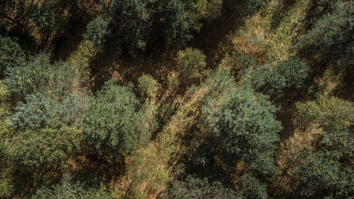 ���������� ������ ������