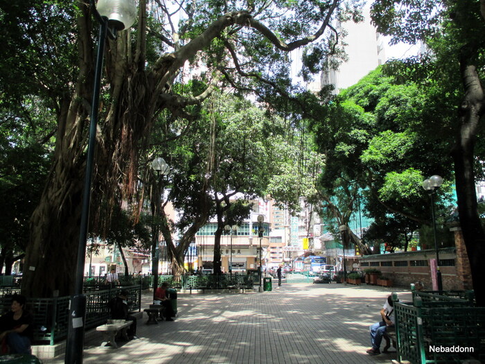 Божественная тень...=)