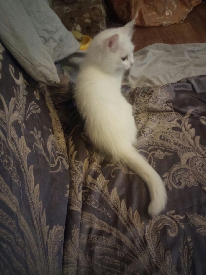 ����� ���� ���� ������ ������ ���������