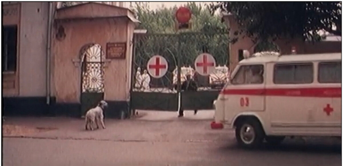 А так? Практически весь фильм «Белый Бим Черное ухо» был снят в Калуге.