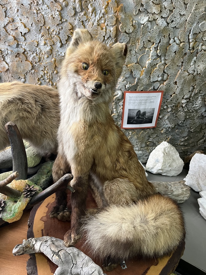 Упоротый Лис, ольхонский)