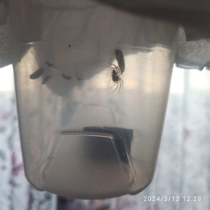 � ���� ���� ����