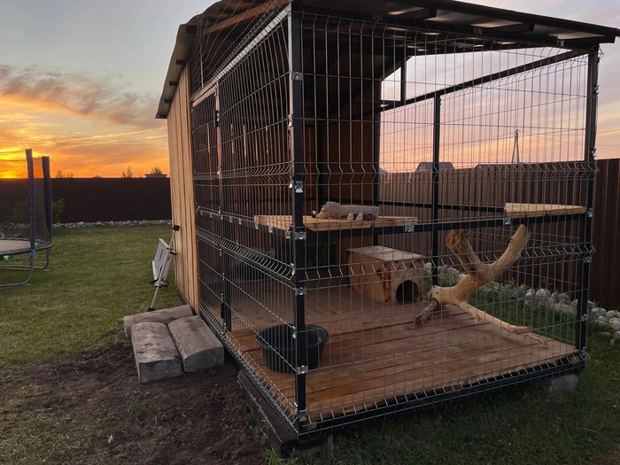 ������ ��� ���� �����