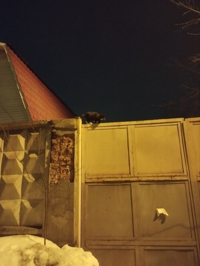 ����  ������ ���������