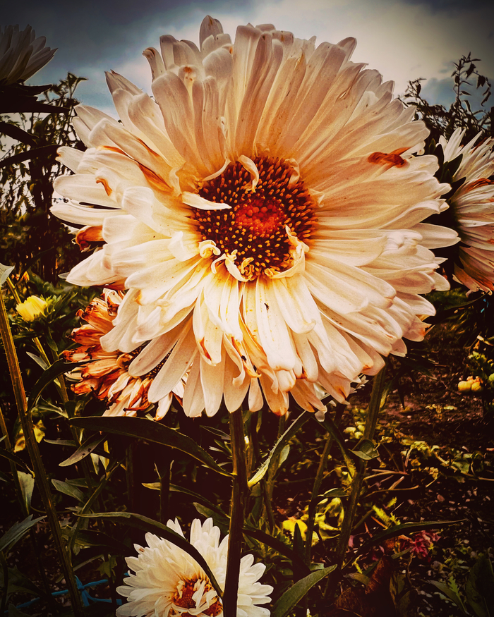 Воспоминания из детства