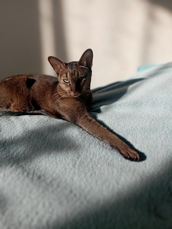 ������� �� �������� ��������