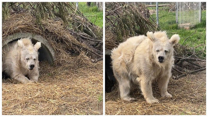 — Ты хотя бы высыпаешься? — Куда высыпаюсь?