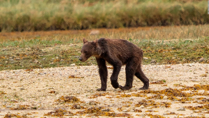 — Ого, как тебе удалось так сбросить вес? — Я всего лишь не ел и не пил полгода!