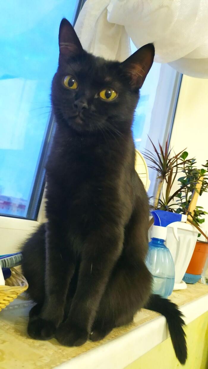 Думали Степан, а оказалось...